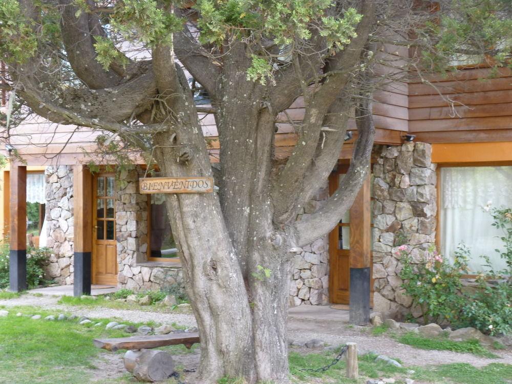 فيلا Tinsel'S House سان كارلوس دي باريلوتشي المظهر الخارجي الصورة